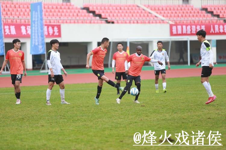 世界杯全站预测：稳定策略解析